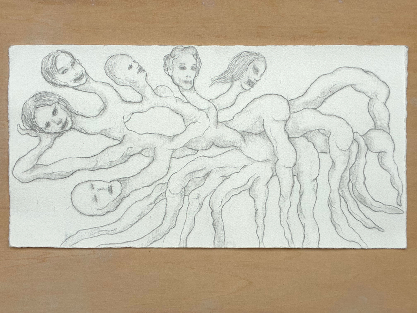 Scylla (study)
